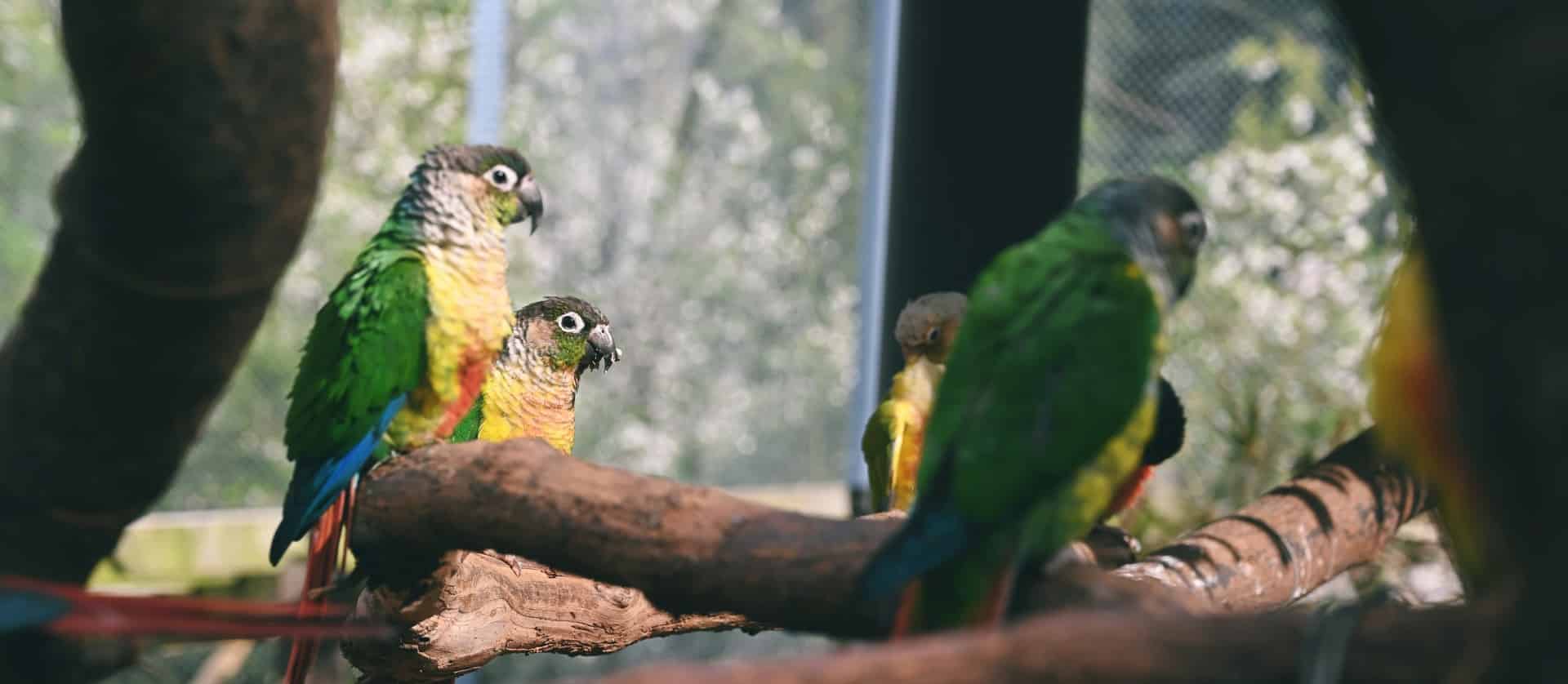 parc animalier ardeche